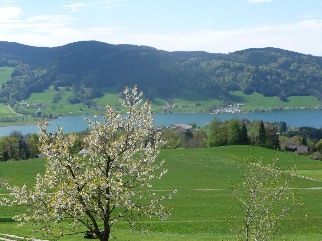 Familienferienhof Stabauer Zell am Moos Exterior foto